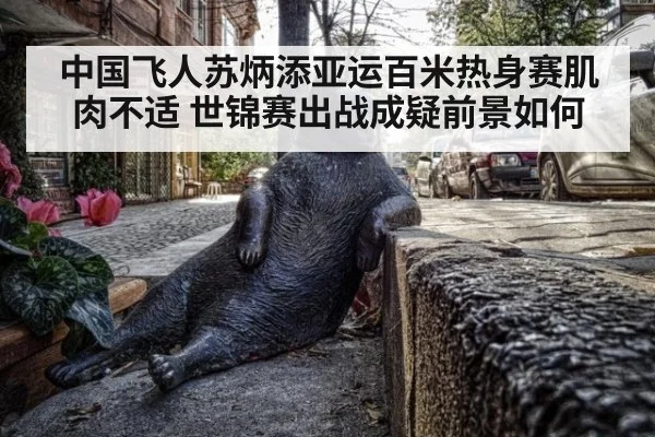 中国飞人苏炳添亚运百米热身赛肌肉不适 世锦赛出战成疑前景如何